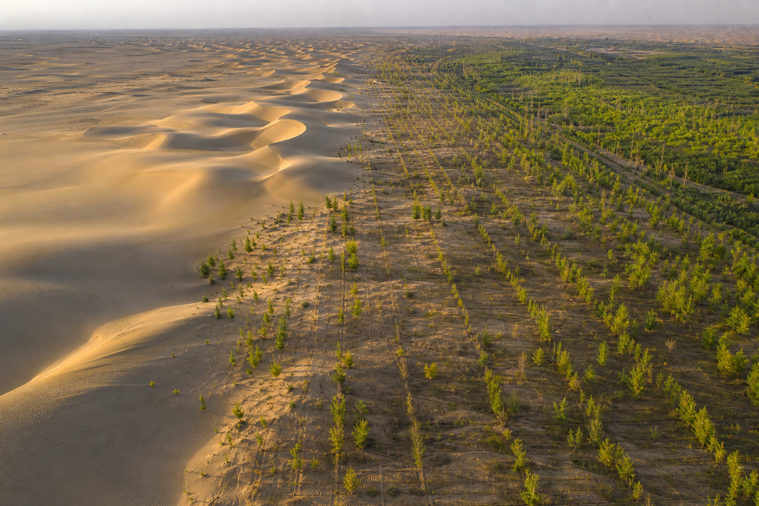 Déserts qui reverdissent — Des dunes deviennent forêts. Un pays qui change les perspectives.
